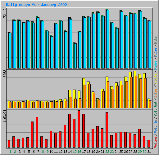 Daily usage for January 2022