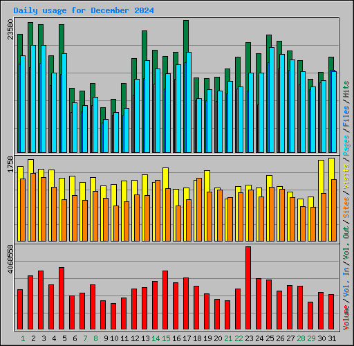 Daily usage for December 2024