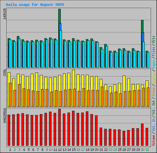 Daily usage for August 2025