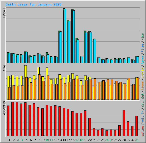 Daily usage for January 2026