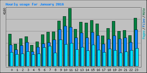 Hourly usage for January 2016