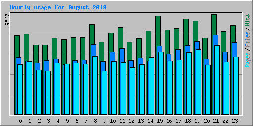 Hourly usage for August 2019