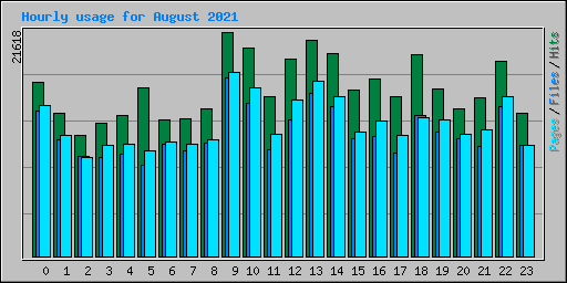 Hourly usage for August 2021