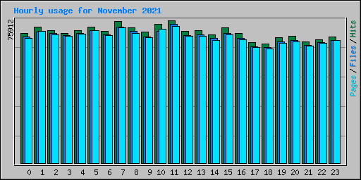 Hourly usage for November 2021