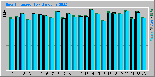 Hourly usage for January 2022