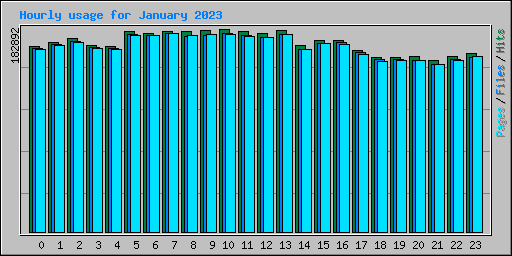 Hourly usage for January 2023