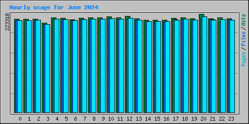 Hourly usage for June 2024