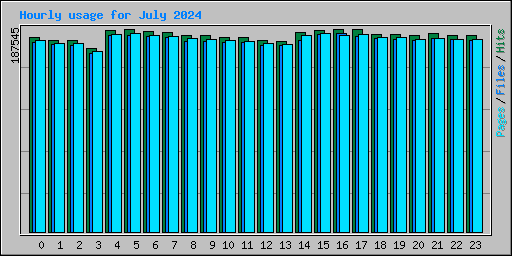 Hourly usage for July 2024