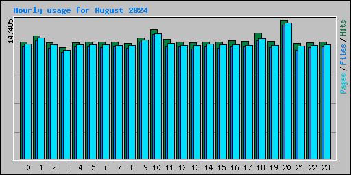 Hourly usage for August 2024