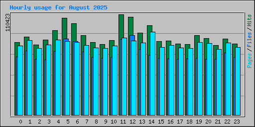 Hourly usage for August 2025