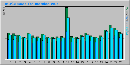 Hourly usage for December 2025
