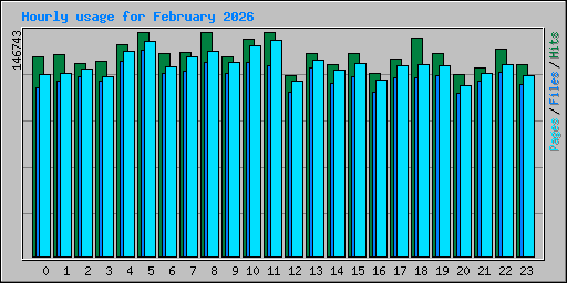 Hourly usage for February 2026