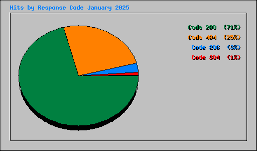 Hits by Response Code January 2025